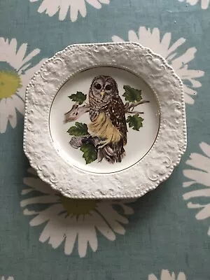 Buy Lord Nelson Pottery Owl Plate A • 8£