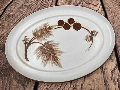 Buy DENBY-Retro Stoneware Pottery-COTSWOLD-Oval Serving Platter/Meat Plate-32 Cm • 9.99£