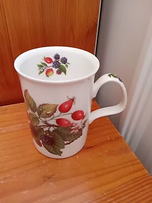 Buy Roy Kirkham Summer Fruits Mug Tea Coffee  Mug • 4.99£