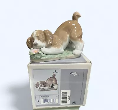 Buy Lladro Figurine  Dog Puppy “A Sweet Smell “ No. 6832 ( Box) • 55£