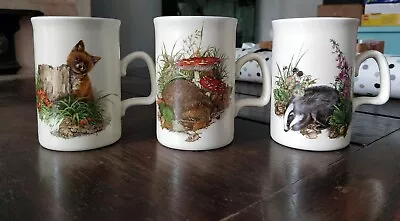 Buy 3 Vintage Ashdale Pottery Mugs Fox Badger Hedgehog Made In England. • 12.99£