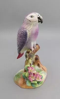 Buy Floral Bone China Staffordshire “African Grey Parrot” Figurine - Charles Amison • 19.99£