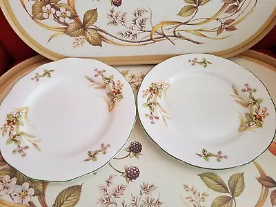 Buy KIRSTY JANE HARVEST MARKS AND SPENCER STYLE 2 CHINA SALAD PLATES 21cm • 10.99£