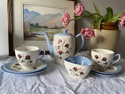 Buy Rare 1950s Vintage Spode Copeland Summer Days Blue Floral Tea/Coffee Set For Two • 30£