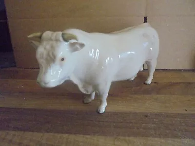 Buy LOVELY BESWICK CHAROLAIS  BULL -  MODEL No 2463A  IN GLOSS • 55.80£