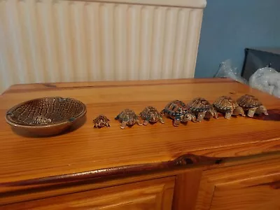 Buy 8x Wade Whimsies Tortoise Family (1x Ashtray) (4x Trinket Lid) Great Condition • 8£