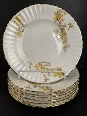 Buy Hawthorn Sprigs William Adderley Dessert Plates Set Of 7 Yellow Flower • 18.66£