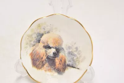 Buy Vintage Fenton China Poodle Dog Plate Collectors Display Plate • 10.95£