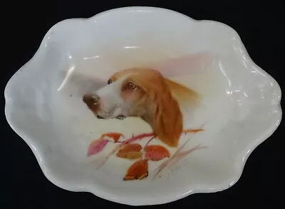 Buy Antique Minton Oval Dish - Hand Painted Gun Dog By J E Dean, 1919 • 20£