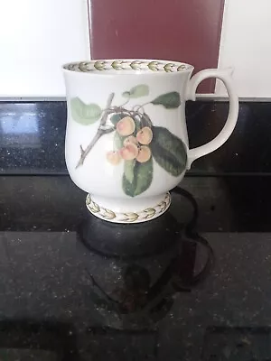 Buy Queens Hookers Fruit Fine Bone China Mug Pattern 2 • 5£