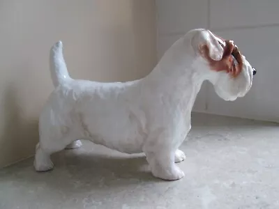 Buy Rare Largest Size Royal Doulton Sealyham Terrier - Ch. Scotia Stylist  - Hn1030 • 165£