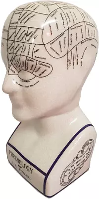 Buy Antique Style L.N. Fowler Porcelain Phrenology 8  Ceramic Head With Crackle Glaz • 13.59£