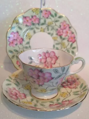 Buy E.B.Foley  Springdale  No. 2313. Trio Of Vintage Cup, Saucer And Plate.   • 12.99£