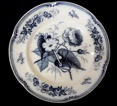 Buy X Antique RIDGWAY & MORLEY Verona Pattern Circa 1842 Blue White Rare B14e • 10.99£