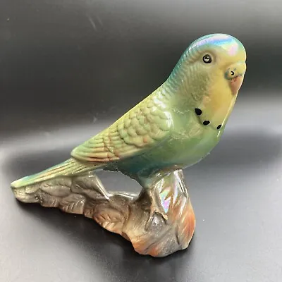 Buy Vintage KSP Keele Street Pottery Budgie Budgerigar Figurine Ornament • 20£