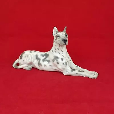 Buy Great Dane Dog Signed - Royal Copenhagen Figurine 1679 - Denmark - RCH 5498  • 187£