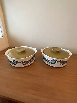 Buy Vintage Pair Of Pottery J-g Meakin Tureens Called Topic  • 10£