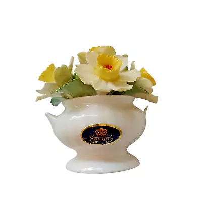 Buy Vintage Aynsley April Daffodil  Posy 8 X 8Cm • 4.99£