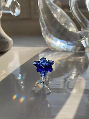 Buy Swarovski Crystal SCS 2020 BLUE GENTIAN FLOWER GIFT 5490322 Rare Mint Boxed • 20£