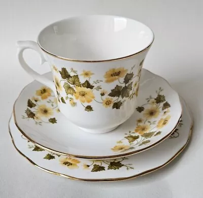 Buy Queen Anne Bone China Trio, Cup, Saucer And Side Plate, Yellow Flowers, Green... • 9.99£