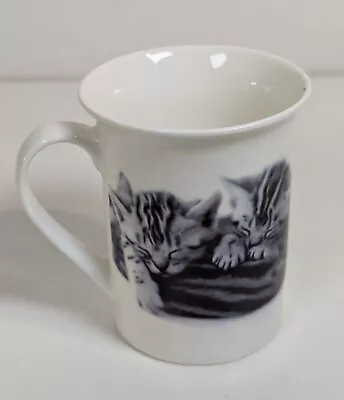 Buy 😺 Cats Kitten Animal Fine Bone China Mug • 4.99£