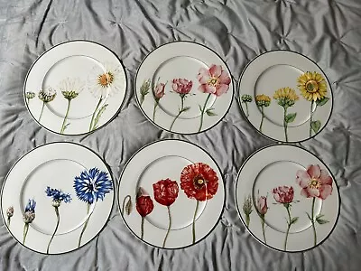 Buy Villeroy And Boch Charger / Buffet Plates X 6 • 165£