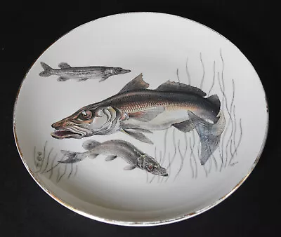 Buy Lord Nelson Pottery Vintage Decorative Plate  Pike Fish • 10£