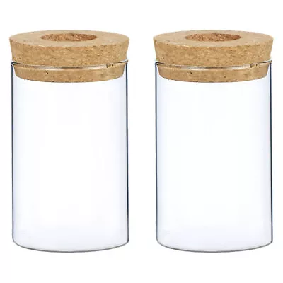 Buy  2 Pcs Indoor Plant Pot Small Glass Flowerpot Handy Vase Good Choice Desktop • 12.38£