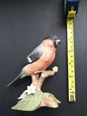 Buy Bone China Bullfinch • 3£