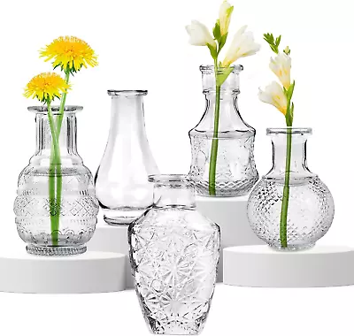 Buy HEFTMAN Small Glass Vase Set - Set Of 5 Clear Vintage Vases For Flowers, Sturdy  • 22.74£