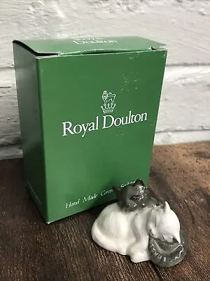 Buy Royal Doulton Quiet Please Grey/White Cats (RDCATS 6477) Original Box • 10£