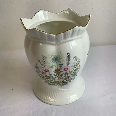 Buy Aynsley Wild Tudor Plant Pot Planter Vase (20cm) Fine Bone China • 8.95£