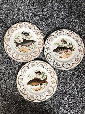 Buy Fine English Bone China 22 Ct Gold 3 Plates. Fish Pattern.  • 26£