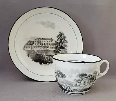 Buy New Hall Bat Printed Pattern 1063 Cup & Saucer 7 C1812-18 Pat Preller Collection • 20£