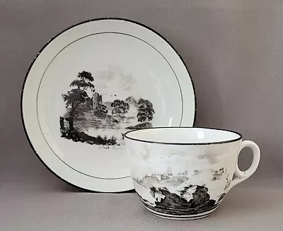 Buy New Hall Bat Printed Pattern 1063 Cup & Saucer 9 C1812-18 Pat Preller Collection • 20£