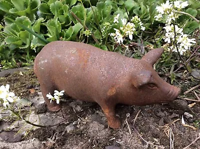 Buy Metal Rusty Cast Iron Piglet / Pig Statue Garden Ornament 🐷🐖 • 22.50£