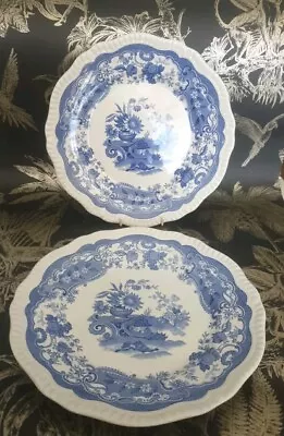 Buy 2x Spode, Blue Room Collection Regency Series  May” Dinner Plates • 29.99£