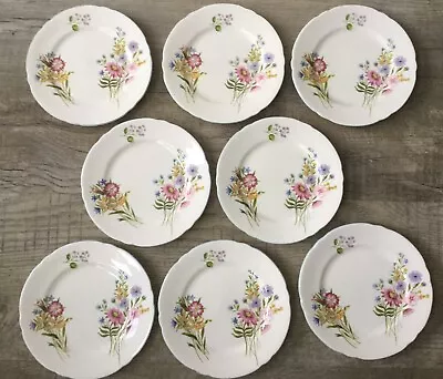 Buy Vintage Shelley Wild Flowers 13668 Bone China Cake Plates - Excellent Condition • 39.99£