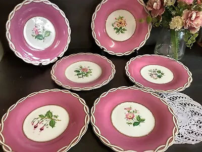 Buy Stunning Antique English Porcelain Dessert Plate Set X6 Pink / Floral - Minton • 0.99£