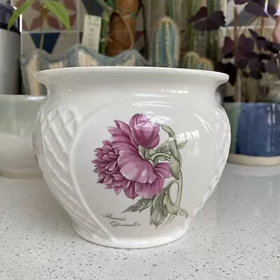 Buy Royal Winton Fine Ceramic Ware Made In Staffordshire Decorative Floral Planter • 14.95£