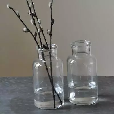 Buy Mini Clear Glass Botanical Bottle Jar, Vintage Rustic Bud Flower Vase 8x16.5 • 5£