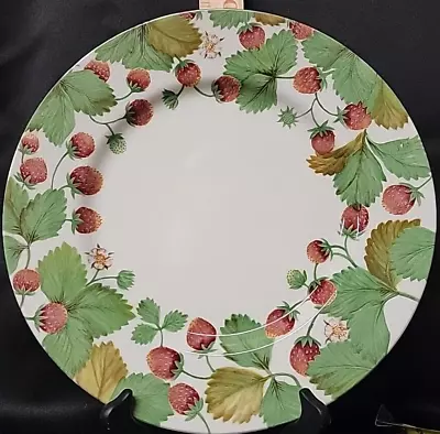 Buy Royal Stafford Fine Earthenware Wildberry  Dinner Plate 11  • 7.83£