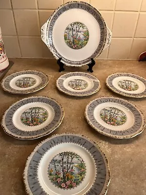 Buy Royal Albert Silver Birch China Plates • 39.50£