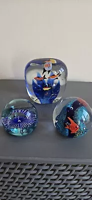 Buy Vintage Glass Aquarium Fish Paperweight Art Glass X3 Bundle  • 19.99£