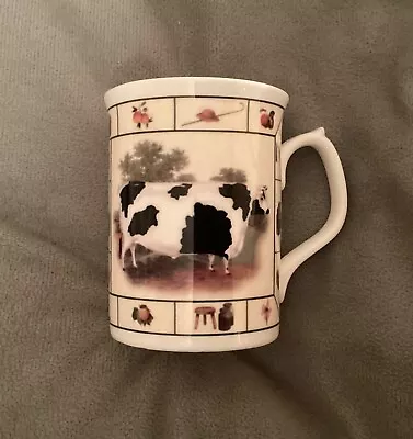 Buy Royal Burlington Staffordshire Bone China Collection Mug Cow Theme - BNWOT • 2.99£