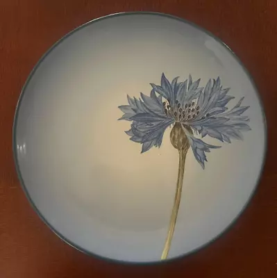 Buy Noritake Blue With Corn Flower Colorwave Stoneware Salad Plate 8  New • 9.31£