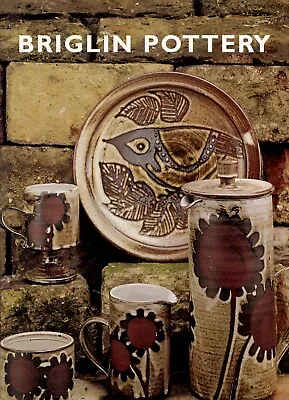Buy Briglin Pottery 1948-1990: Story Of A Studio Pottery, 0954192303, Retro Pottery • 34.99£