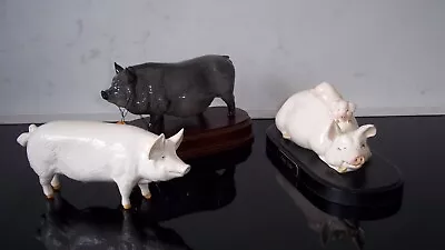 Buy Beswick Pigs & Doulton Three All Perfect Champion Wallboy Pot Belly & Piggy Back • 49.90£