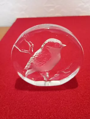Buy Robin Themed Glass Decorative Paperweight • 10£