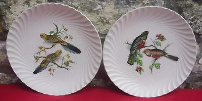 Buy 2 Vintage Burleigh Ware Exotic Bird Collector Plates. Burgess & Leigh.Swirl Rims • 9.95£